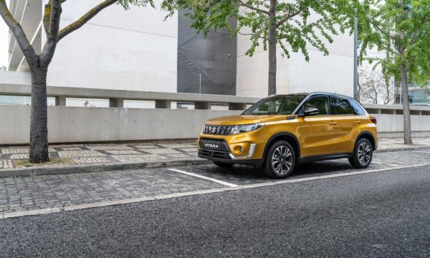 2019 MODEL YEAR VITARA