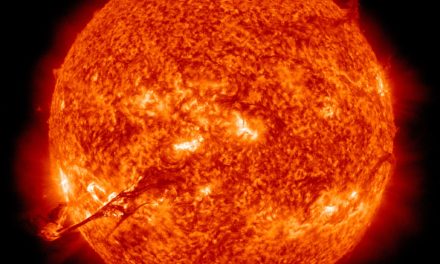 Sun exhibition at Science Museum shines for Focus Consultants
