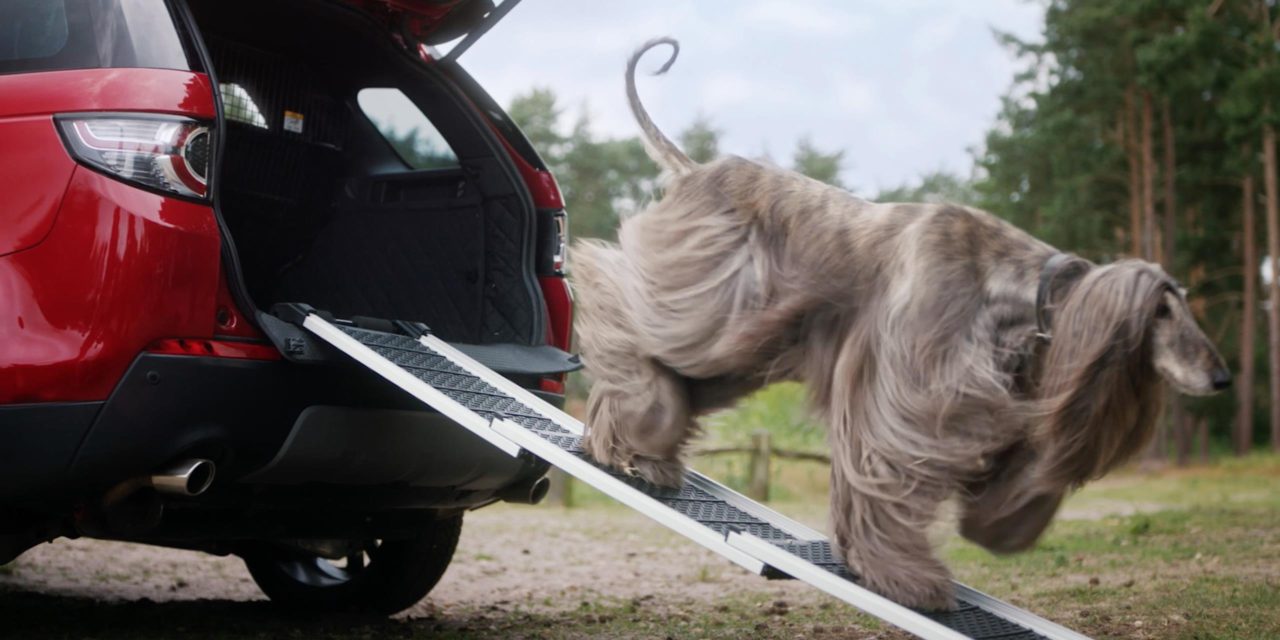 LAND ROVER’S FIVE-STAR DOG-FRIENDLY PET PACKS