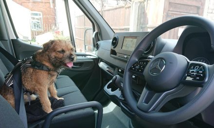 VAN MAN’S BEST FRIEND – DOGS ARE KEEPING OUR VAN OPERATORS COMPANY