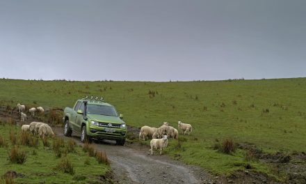 TURNING THE JOURNEY INTO AN ADVENTURE: VOLKSWAGEN COMMERCIAL VEHICLES’ AMAROK STARS IN ADVENTURE GUIDE