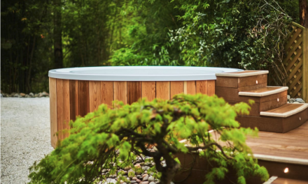 Aqua Sana Longleat Forest undergoes £4.7m refurbishment turning their World of Spa concept into a forest-inspired spa