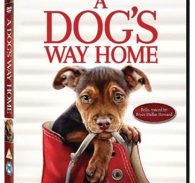 A DOG’S WAY HOME out on Digital May 20 & DVD June 3