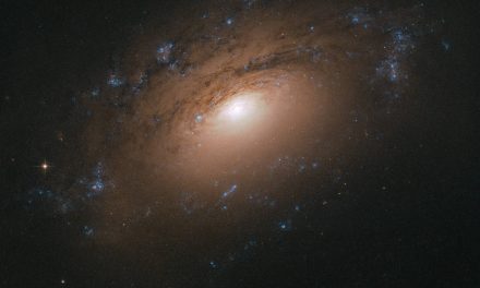 Hubble Snaps a Galactic Potpourri of Particles