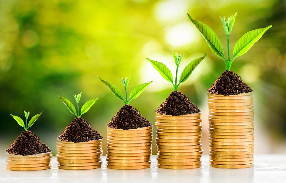 Focus Consultants forecasts significant economic impact of university institute programme