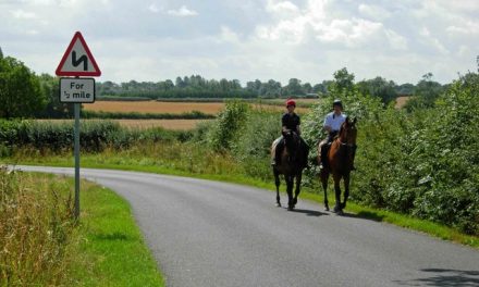 HOLD YOUR HORSES! HOW TO PASS HORSES SAFELY ON THE ROAD