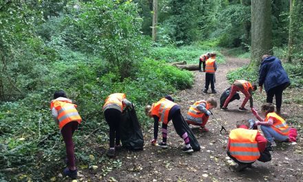 West Bridgford schoolchildren clean up woodland waste during charity litter pick