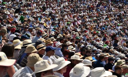Attendances top three million for first time