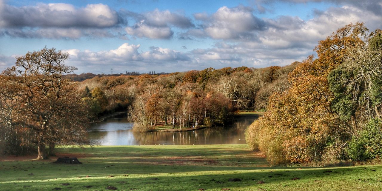 Quantity Surveying team at Focus Consultants working at Staunton Country Park in Hampshire