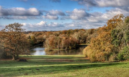 Quantity Surveying team at Focus Consultants working at Staunton Country Park in Hampshire
