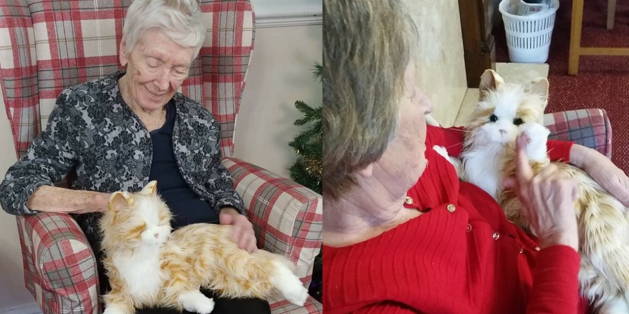 “Therapy cat” helping elderly with dementia