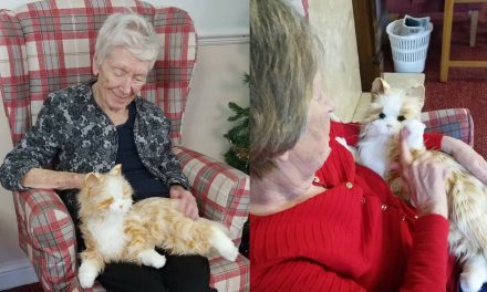 “Therapy cat” helping elderly with dementia