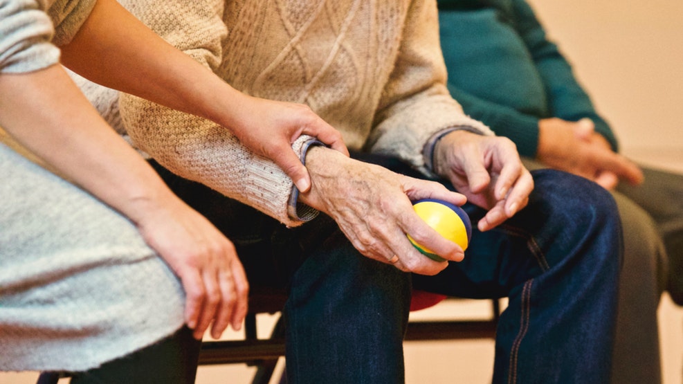 Protein Aggregation and Parkinson’s
