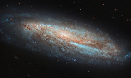 Hubble Spies Bar, Baby Stars