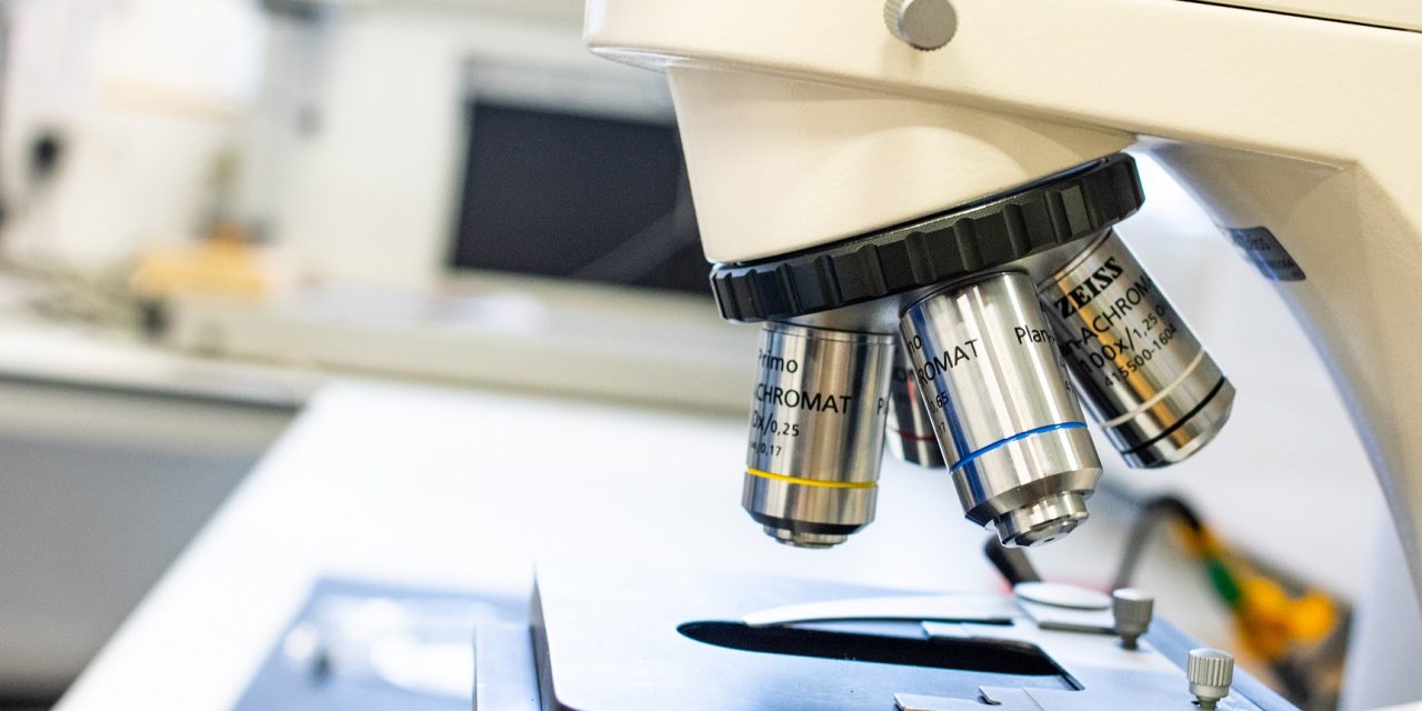 Focus Consultants appointed on university ERDF evaluation