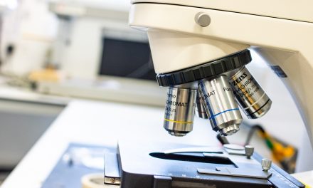 Focus Consultants appointed on university ERDF evaluation