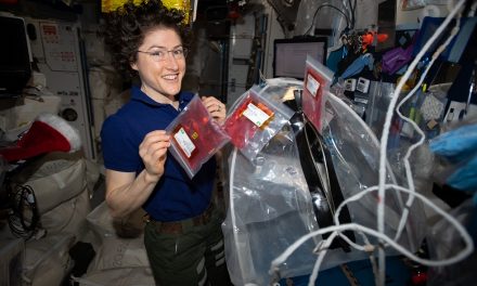 3D Printing, Biology Research Make the Journey Back to Earth aboard SpaceX’s Dragon