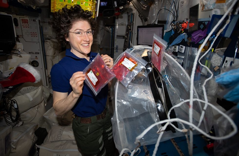 3D Printing, Biology Research Make the Journey Back to Earth aboard SpaceX’s Dragon