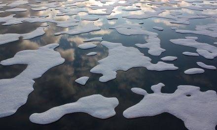 Arctic Ice Melt Is Changing Ocean Currents