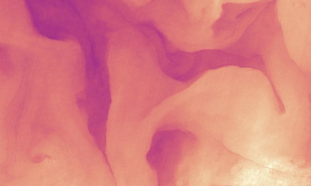 The Gulf Stream in Infrared