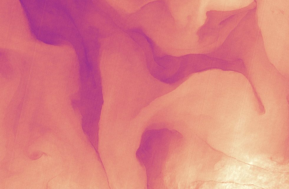 The Gulf Stream in Infrared