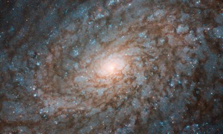 Hubble Gazes at Fluffy-Looking Galaxy