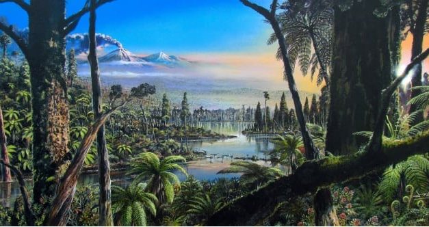 New discovery: Evidence for a 90-million-year-old rainforest near the South Pole