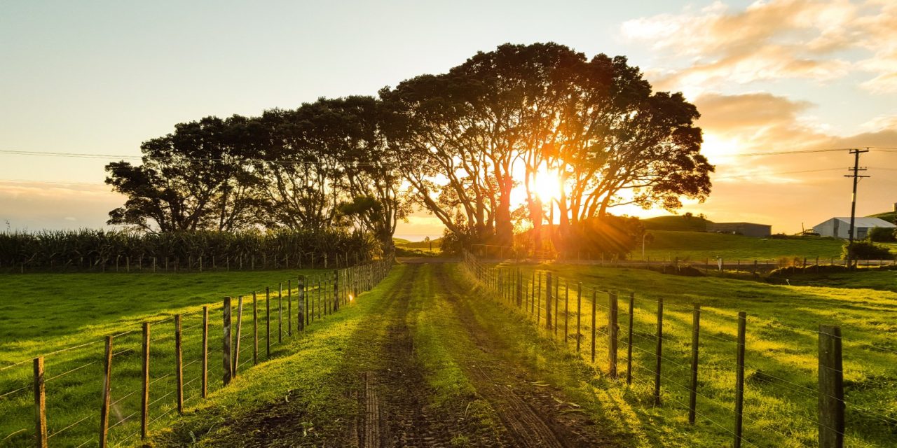 10,000 properties connected to ultrafast broadband in rural Northamptonshire