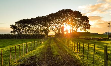 10,000 properties connected to ultrafast broadband in rural Northamptonshire