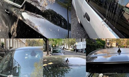 HOW ARTIFICIAL BIRD POOP KEEPS YOUR PAINTWORK SAFE IN THE REAL WORLD
