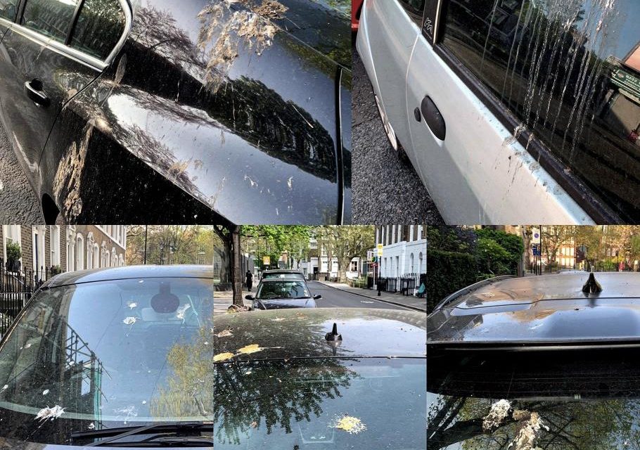HOW ARTIFICIAL BIRD POOP KEEPS YOUR PAINTWORK SAFE IN THE REAL WORLD