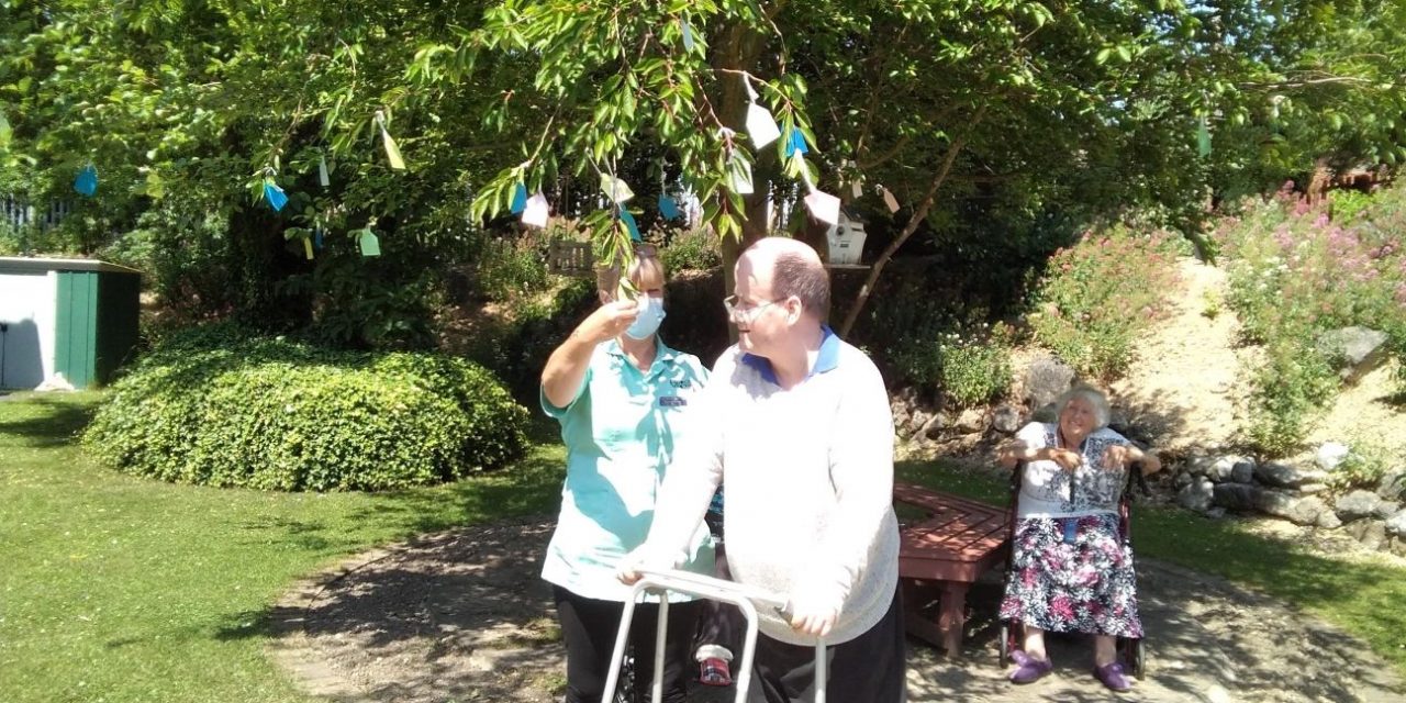 DERBYSHIRE CARE HOME CREATES POSITIVI-TREE FOR RESIDENTS