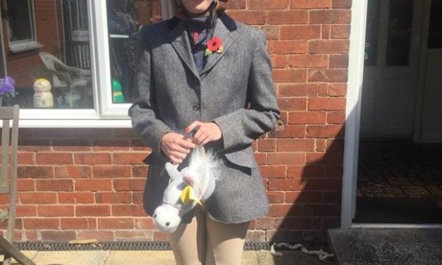 Young horse fan raises funds for local riding school with home show jumping during lockdown