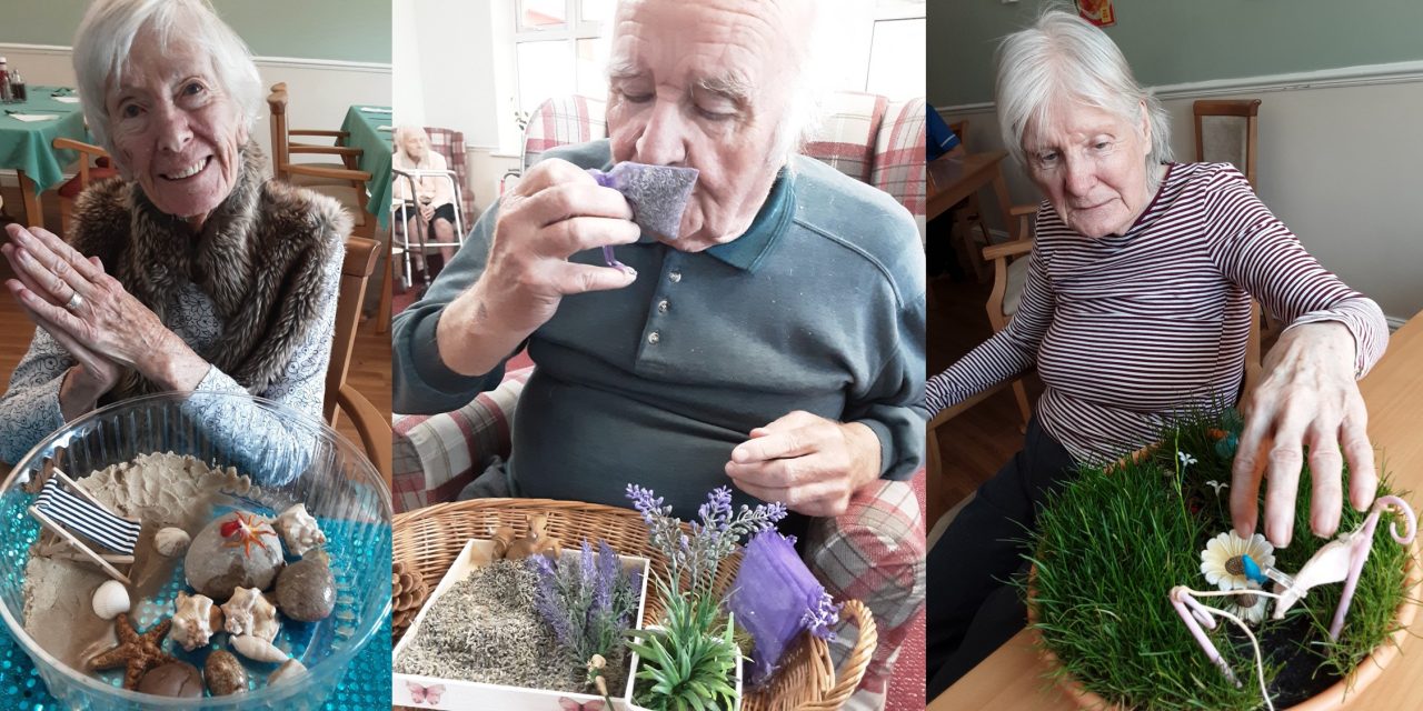 Care home residents go wild for 30 days