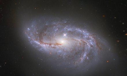 Hubble Glimpses a Galaxy Among Many
