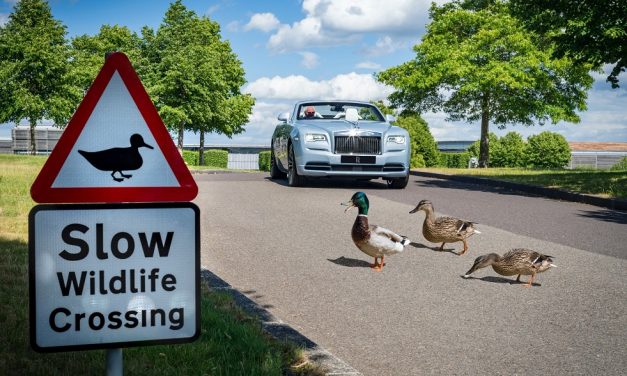 BIRDS, BEES, ROSES AND TREES ALL THRIVING AT THE HOME OF ROLLS-ROYCE