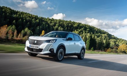 RECYCLABILITY OF VEHICLES: AN ENVIRONMENTAL PRIORITY FOR THE PEUGEOT BRAND