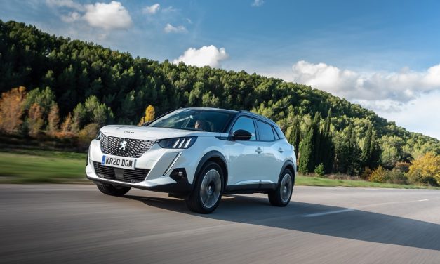 RECYCLABILITY OF VEHICLES: AN ENVIRONMENTAL PRIORITY FOR THE PEUGEOT BRAND