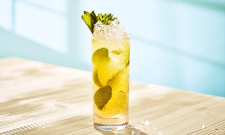 Celebrate National Mojito Day with a MOOSE Mountain Mojito