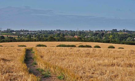 Miller Homes Sees Surge in Countryside Househunters In the East Midlands