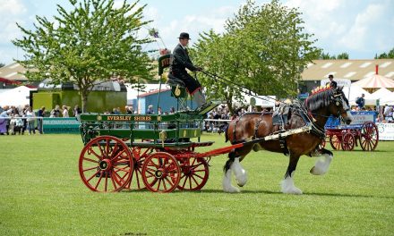Shire horse show opts to trot to Notts for outdoor event in 2022