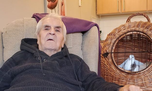 Pigeons connect care home manager and resident
