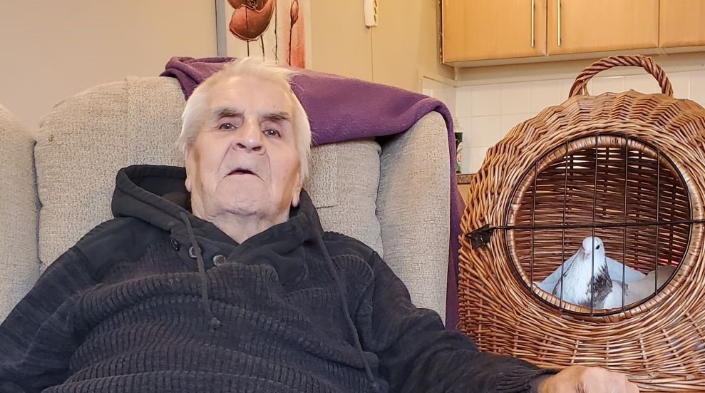 Pigeons connect care home manager and resident