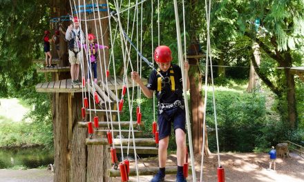 Ticketing supports re-opening for attractions