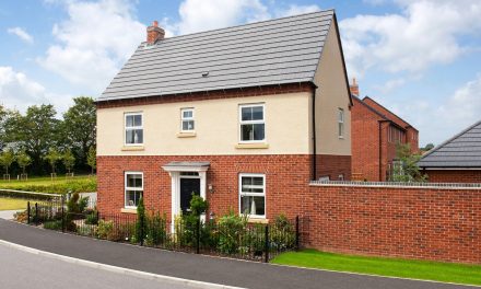 DAVID WILSON HOMES OFFERS HOUSE HUNTERS A BIRD’S EYE VIEW OF LEICESTERSHIRE DEVELOPMENT
