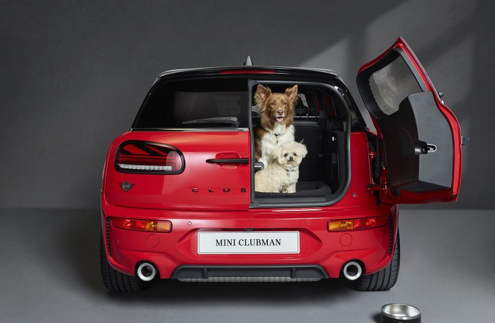 MINI opens its doors to paws with Dogs Trust
