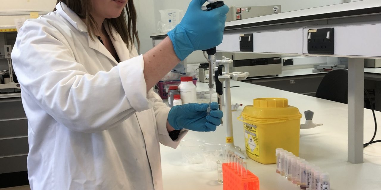 Gin research at the University of Nottingham is just the tonic for distillers