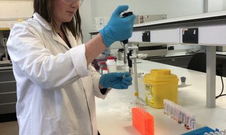 Gin research at the University of Nottingham is just the tonic for distillers