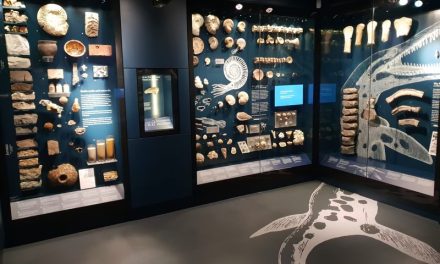 Focus celebrates as Bucks County Museum opens new permanent gallery