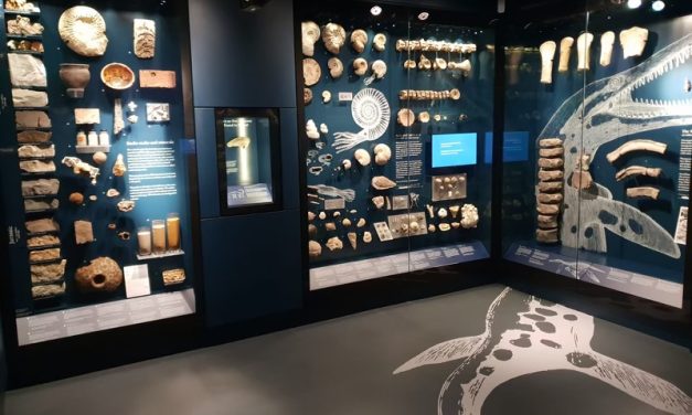 Focus celebrates as Bucks County Museum opens new permanent gallery
